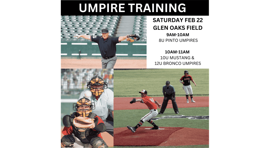 Youth Umpire Training